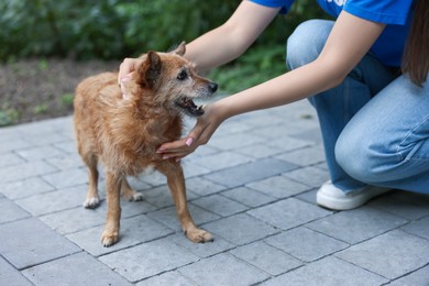 Photo of Volunteer with cute stray dog outdoors, closeup