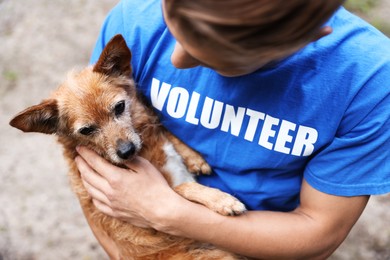 Photo of Volunteer holding cute stray dog outdoors, closeup