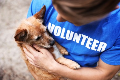 Photo of Volunteer holding cute stray dog outdoors, closeup