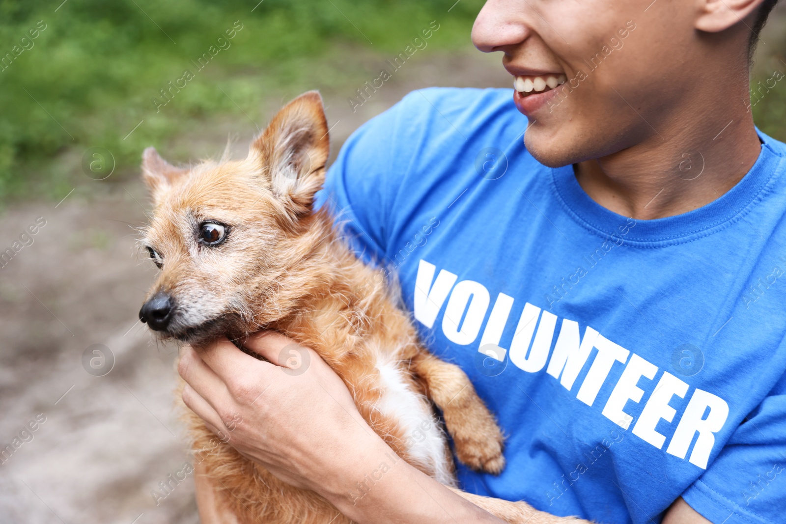Photo of Volunteer with cute stray dog outdoors, closeup
