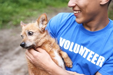 Photo of Volunteer with cute stray dog outdoors, closeup