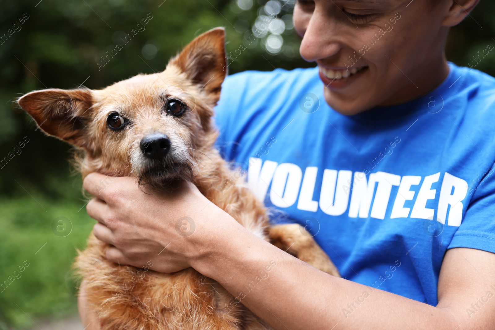 Photo of Volunteer with cute stray dog outdoors. Animal rescue