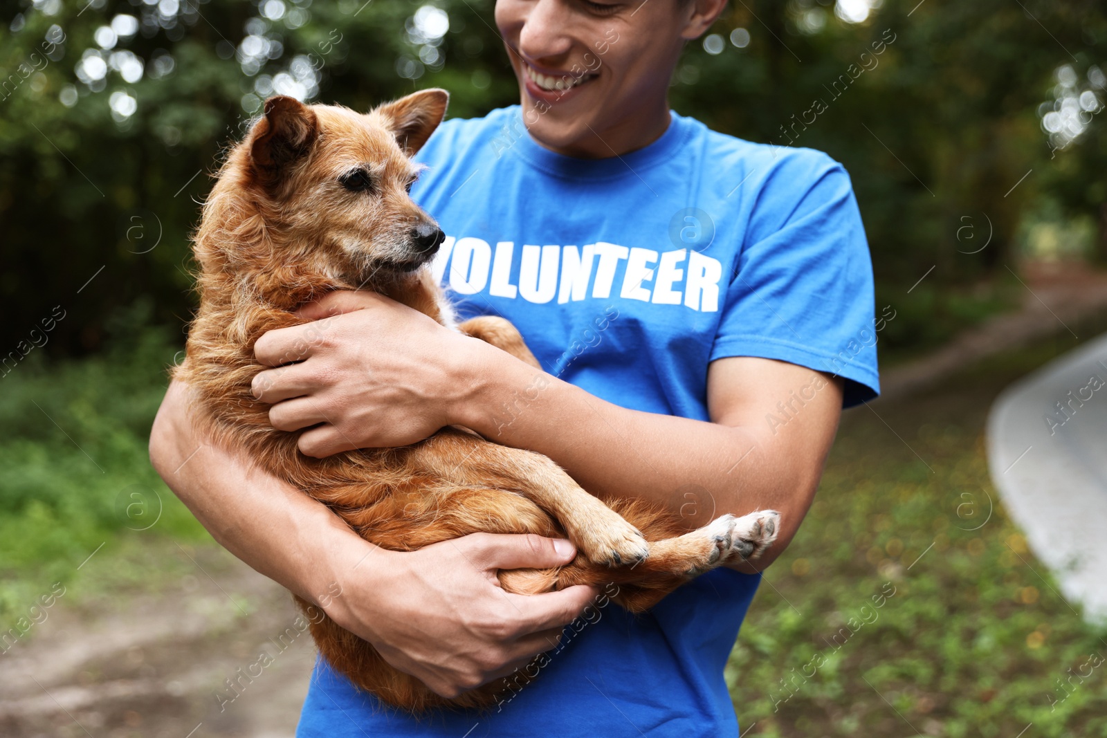 Photo of Volunteer with cute stray dog outdoors, closeup