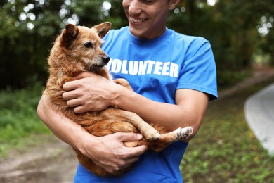 Photo of Volunteer with cute stray dog outdoors, closeup
