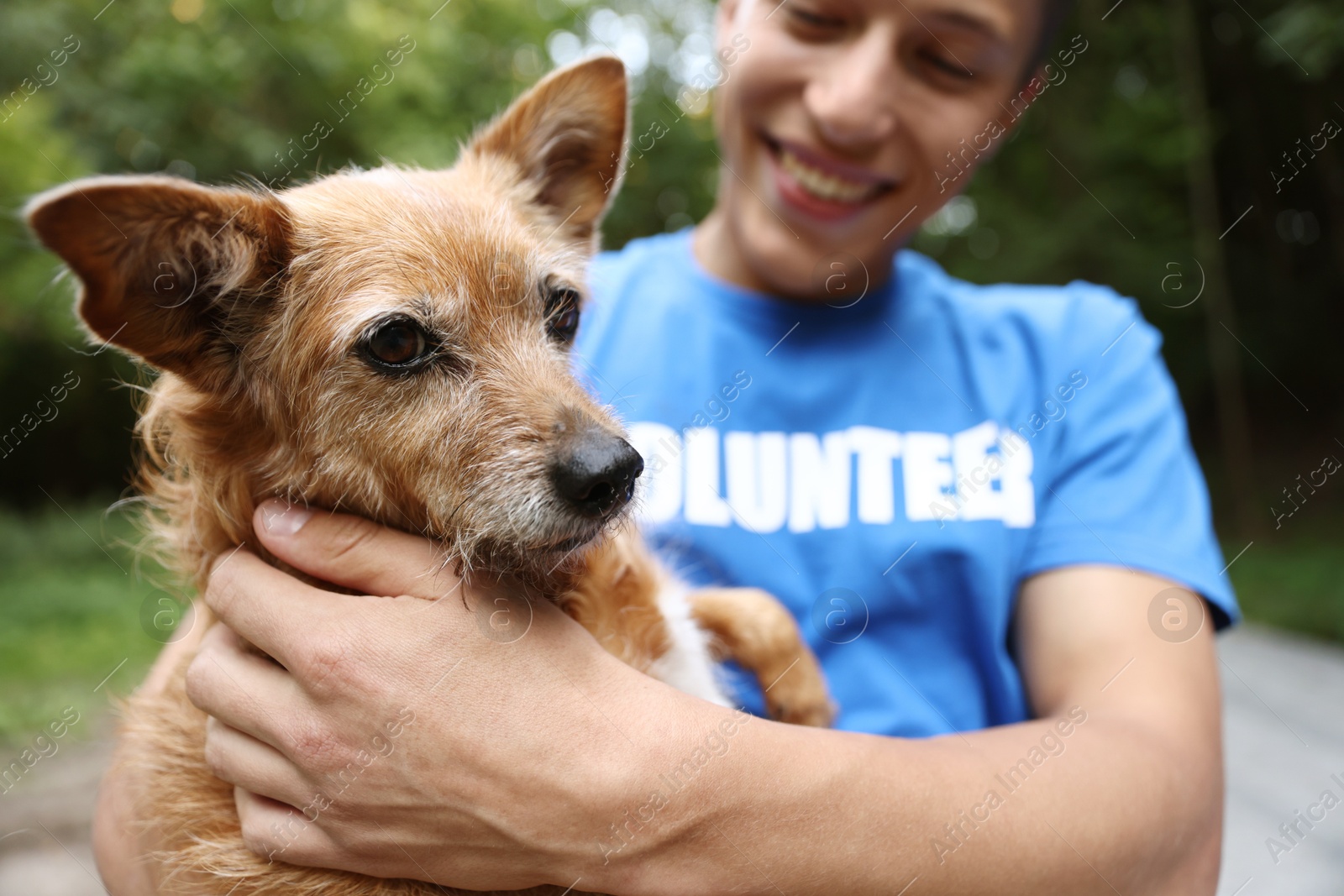 Photo of Volunteer with cute stray dog outdoors, selective focus