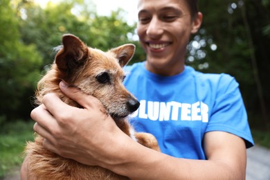 Photo of Volunteer with cute stray dog outdoors, selective focus