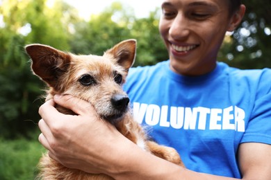 Photo of Volunteer with cute stray dog outdoors, selective focus