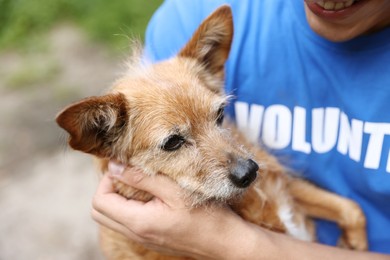 Photo of Volunteer with cute stray dog outdoors, closeup