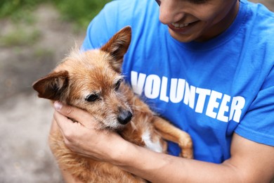 Photo of Volunteer with cute stray dog outdoors, closeup