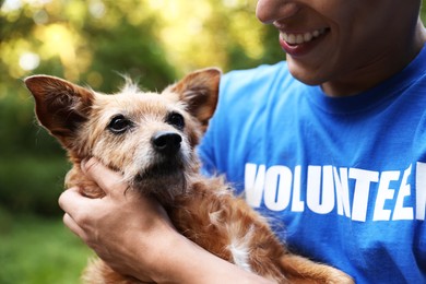 Photo of Volunteer with cute stray dog outdoors, closeup