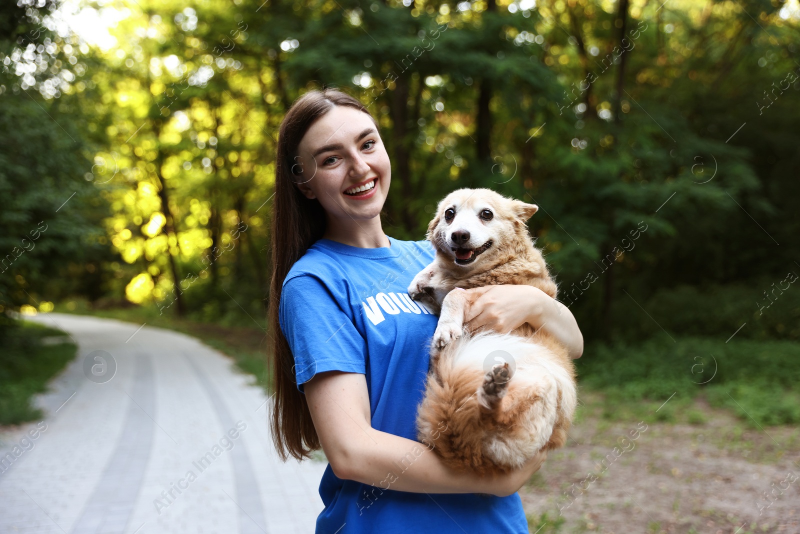 Photo of Volunteer with cute stray dog outdoors. Animal rescue