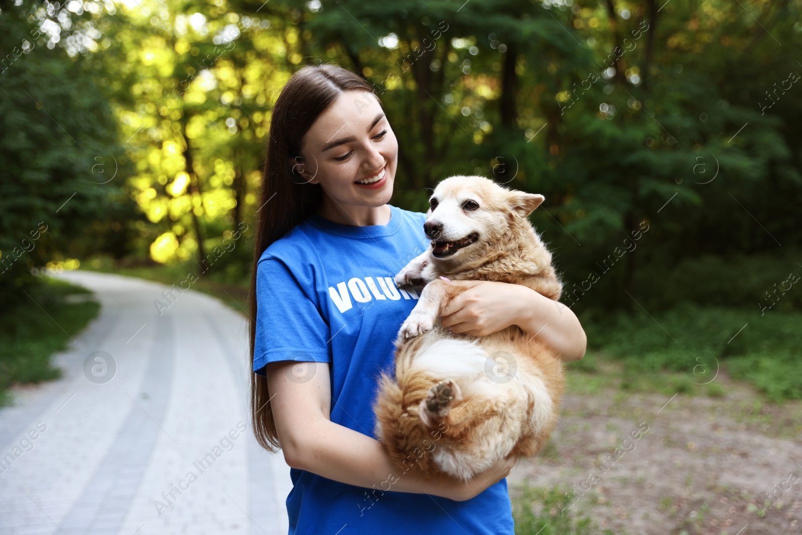 Photo of Volunteer with cute stray dog outdoors. Animal rescue