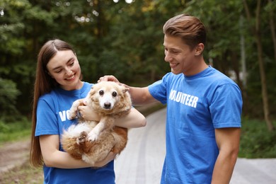Photo of Happy volunteers with cute stray dog outdoors