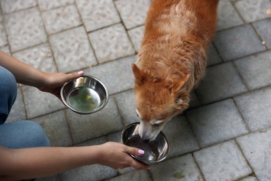 Photo of Volunteer feeding cute stray dog outdoors, closeup