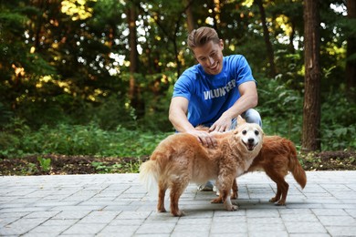 Photo of Volunteer with cute stray dogs outdoors, space for text
