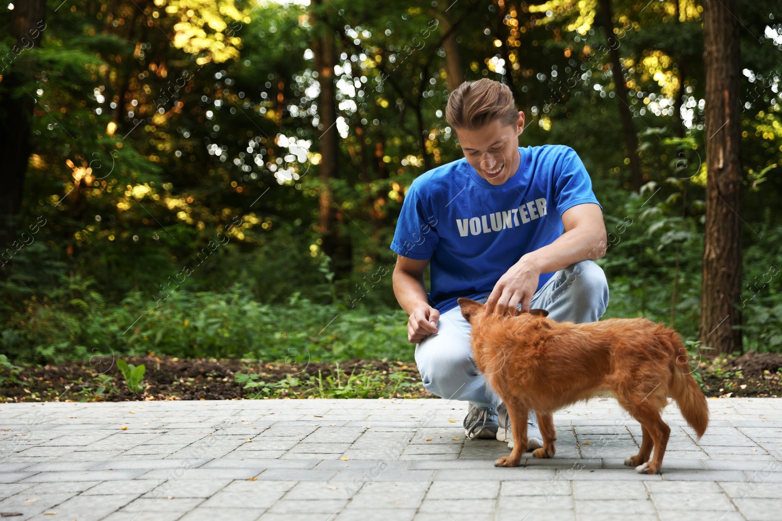 Photo of Volunteer with cute stray dog outdoors, space for text