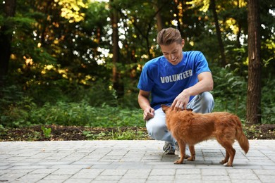 Photo of Volunteer with cute stray dog outdoors, space for text