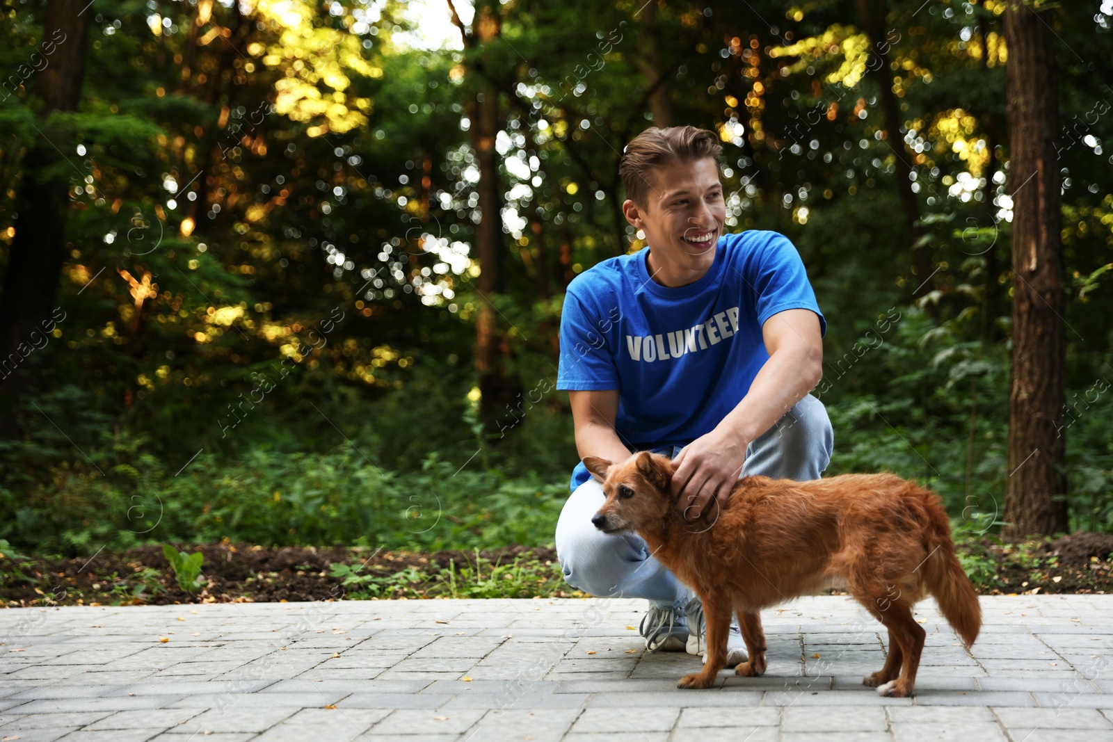 Photo of Volunteer with cute stray dog outdoors, space for text