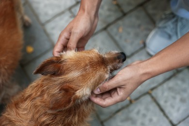 Photo of Man with his cute dog outdoors, closeup