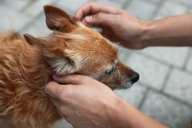 Photo of Man with his cute dog outdoors, closeup