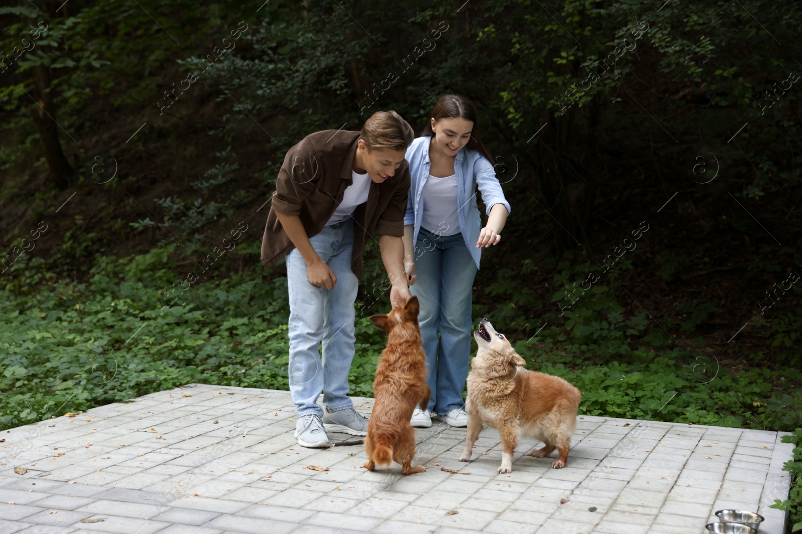 Photo of Happy couple with their cute dogs outdoors