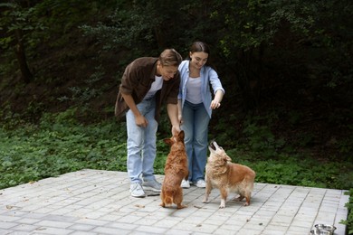 Photo of Happy couple with their cute dogs outdoors