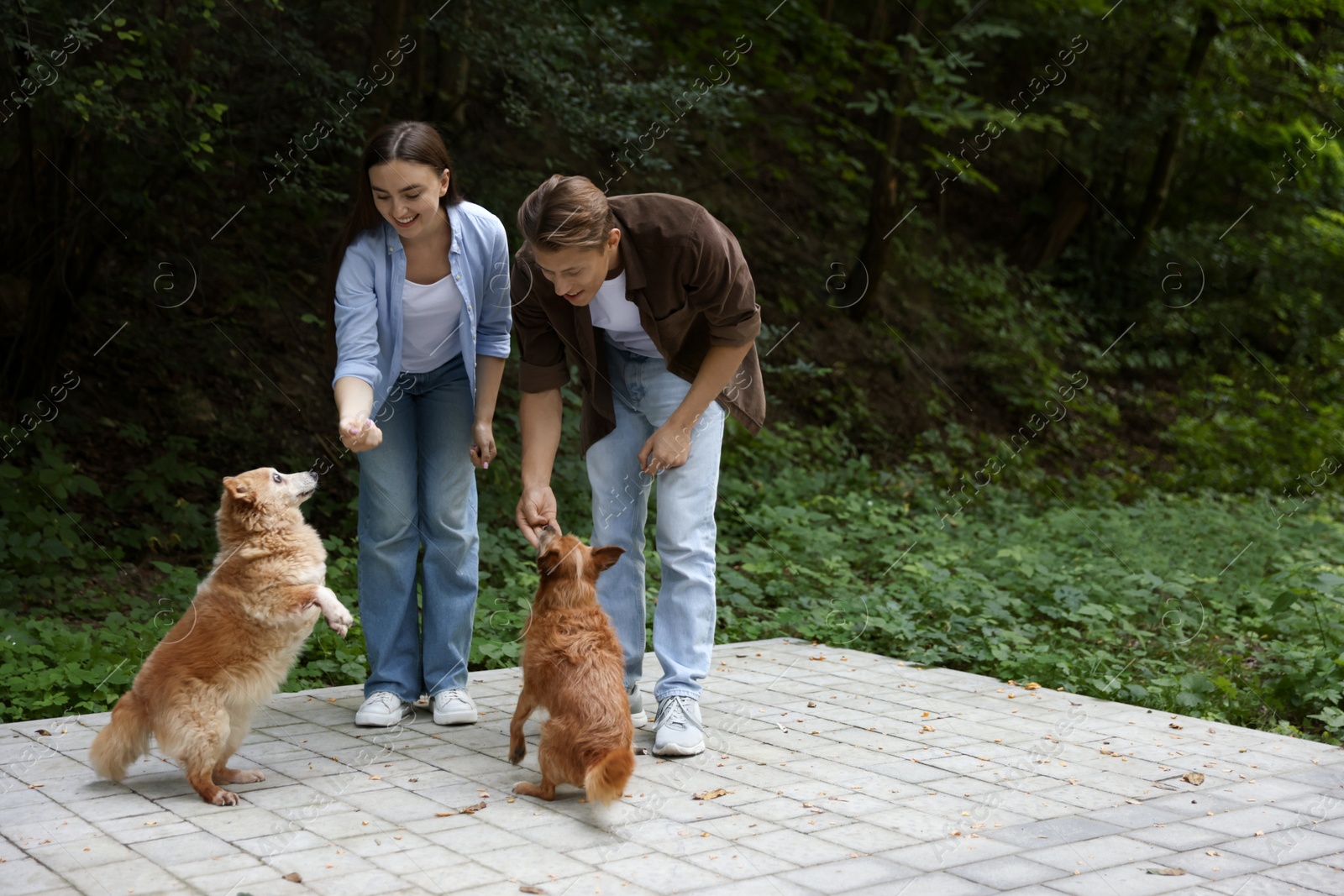Photo of Happy couple with their cute dogs outdoors, space for text