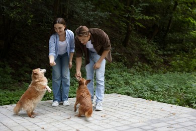 Photo of Happy couple with their cute dogs outdoors, space for text