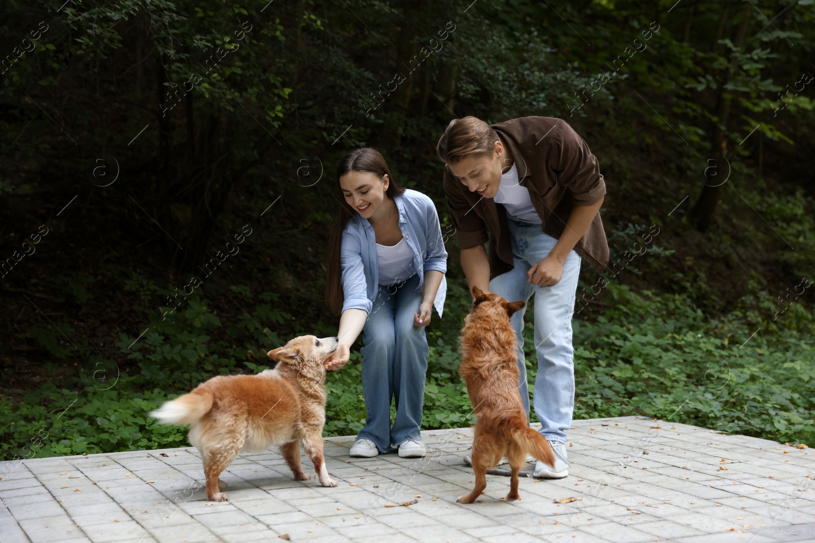 Photo of Happy couple with their cute dogs outdoors