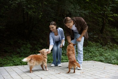 Photo of Happy couple with their cute dogs outdoors