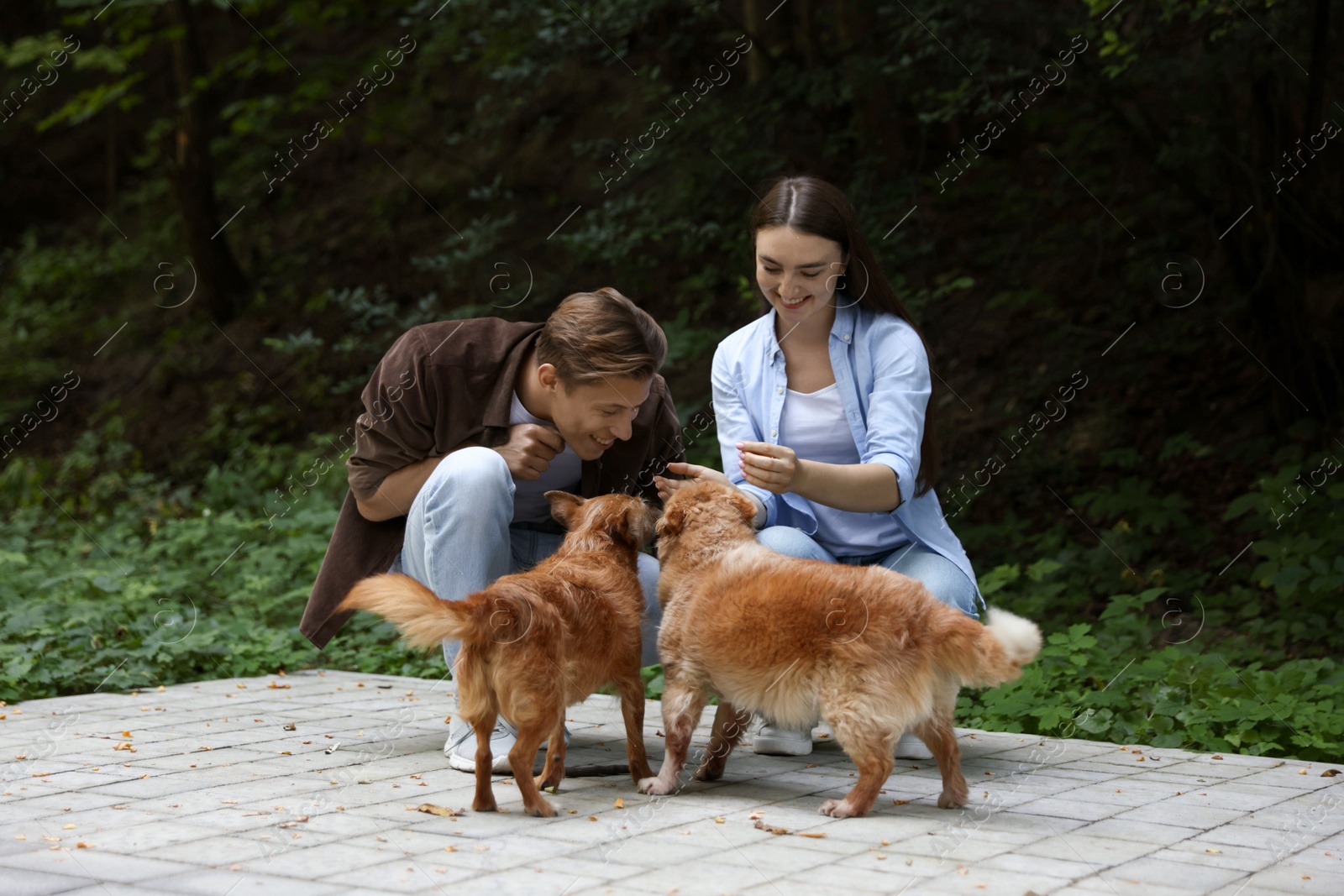 Photo of Happy couple with their cute dogs outdoors