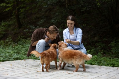 Photo of Happy couple with their cute dogs outdoors