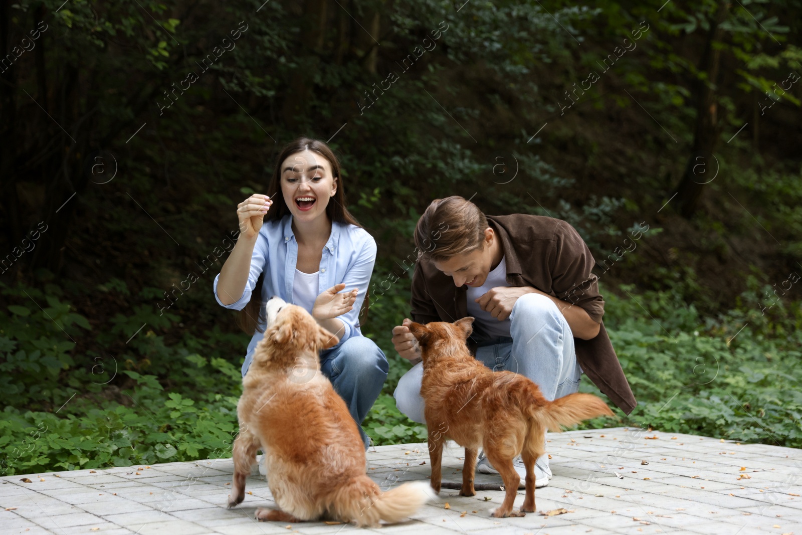 Photo of Happy couple with their cute dogs outdoors