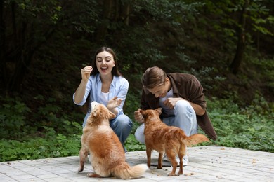 Photo of Happy couple with their cute dogs outdoors