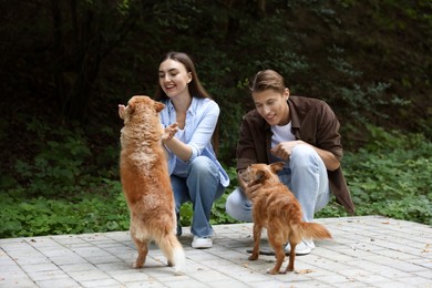 Photo of Happy couple with their cute dogs outdoors