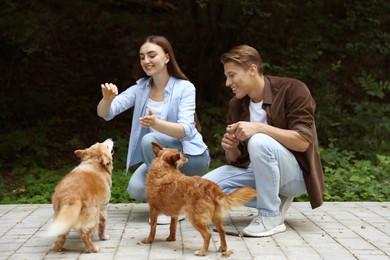 Photo of Happy couple with their cute dogs outdoors