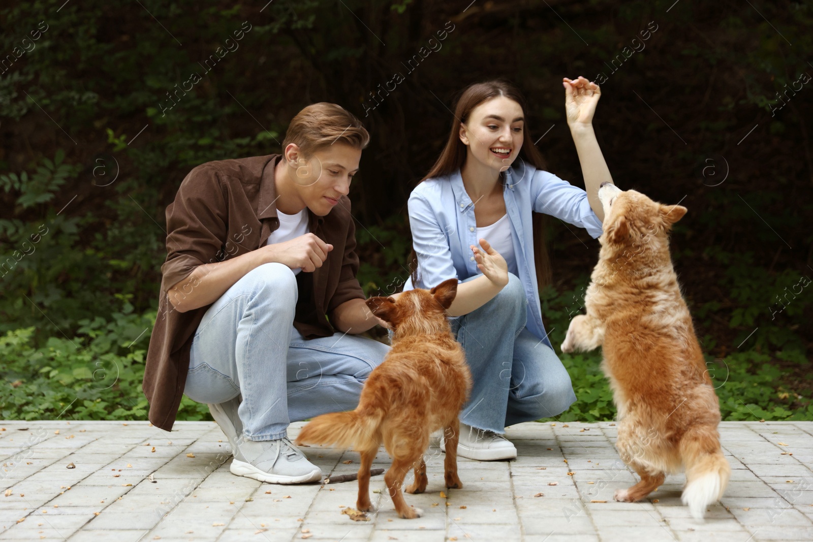 Photo of Happy couple with their cute dogs outdoors
