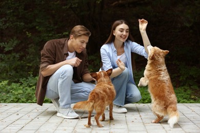 Photo of Happy couple with their cute dogs outdoors