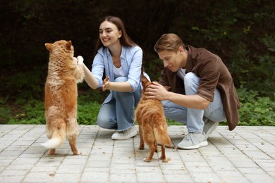 Photo of Happy couple with their cute dogs outdoors