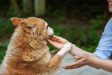 Photo of Woman with her cute dog outdoors, closeup