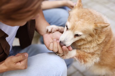 Photo of Couple with their cute dog outdoors, closeup