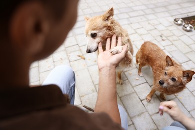 Photo of Couple with their cute dogs outdoors, closeup