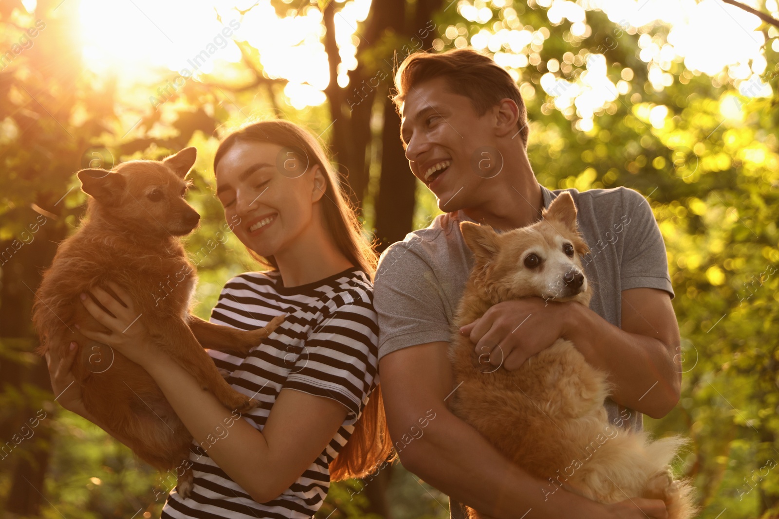 Photo of Happy couple holding their cute dogs outdoors