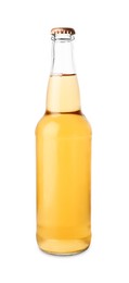 Photo of Delicious apple cider in glass bottle isolated on white