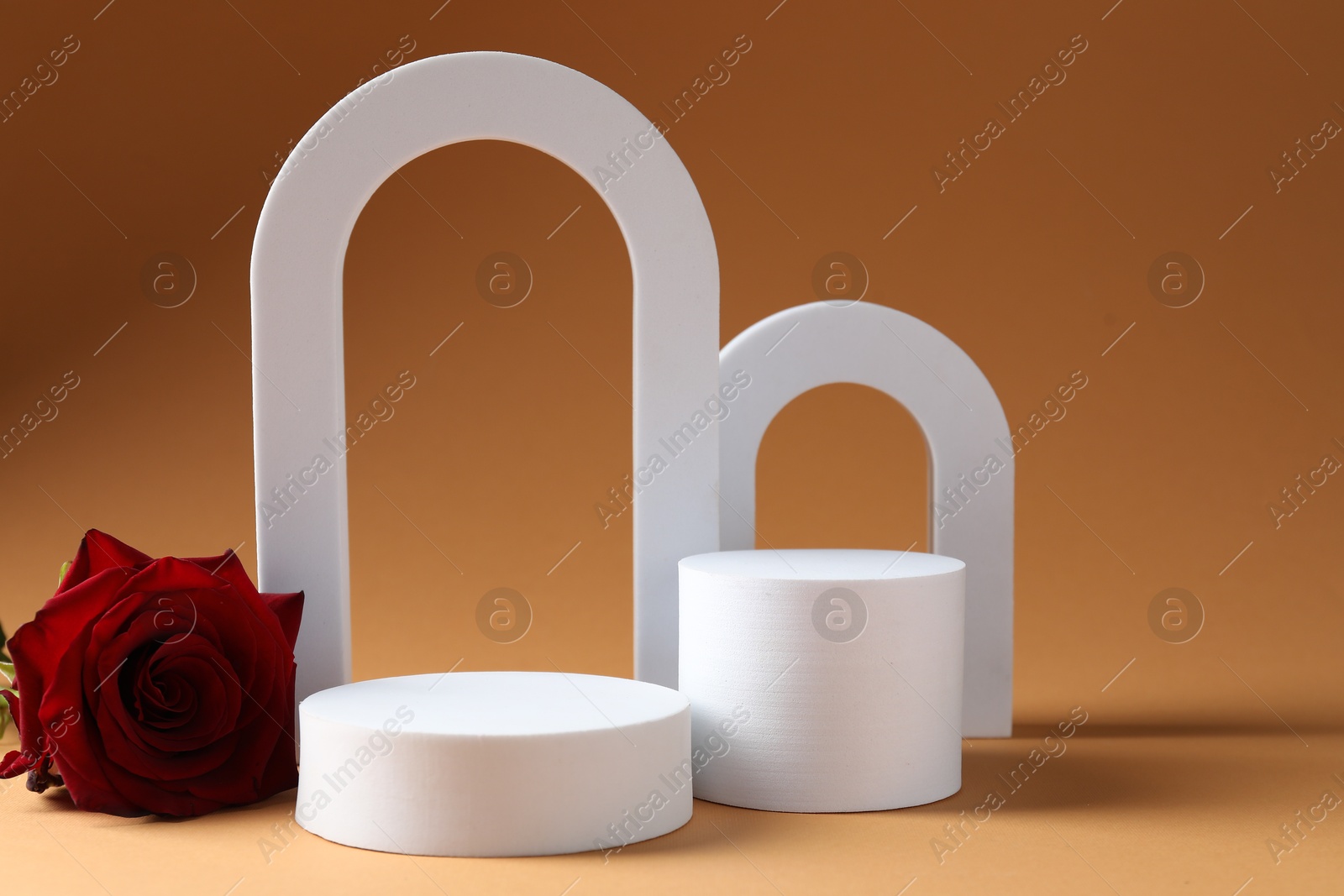 Photo of Promotion. Podiums for product presentation and rose flower on brown background
