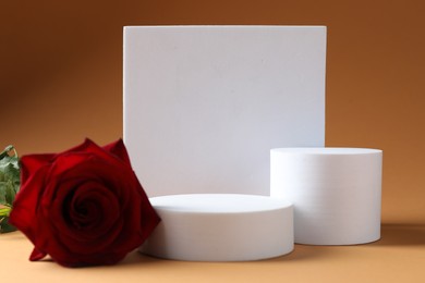 Photo of Promotion. Podiums for product presentation and rose flower on brown background
