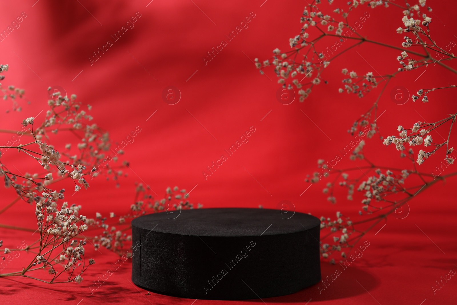Photo of Promotion. Podium for product presentation and gypsophila flowers on red background, closeup