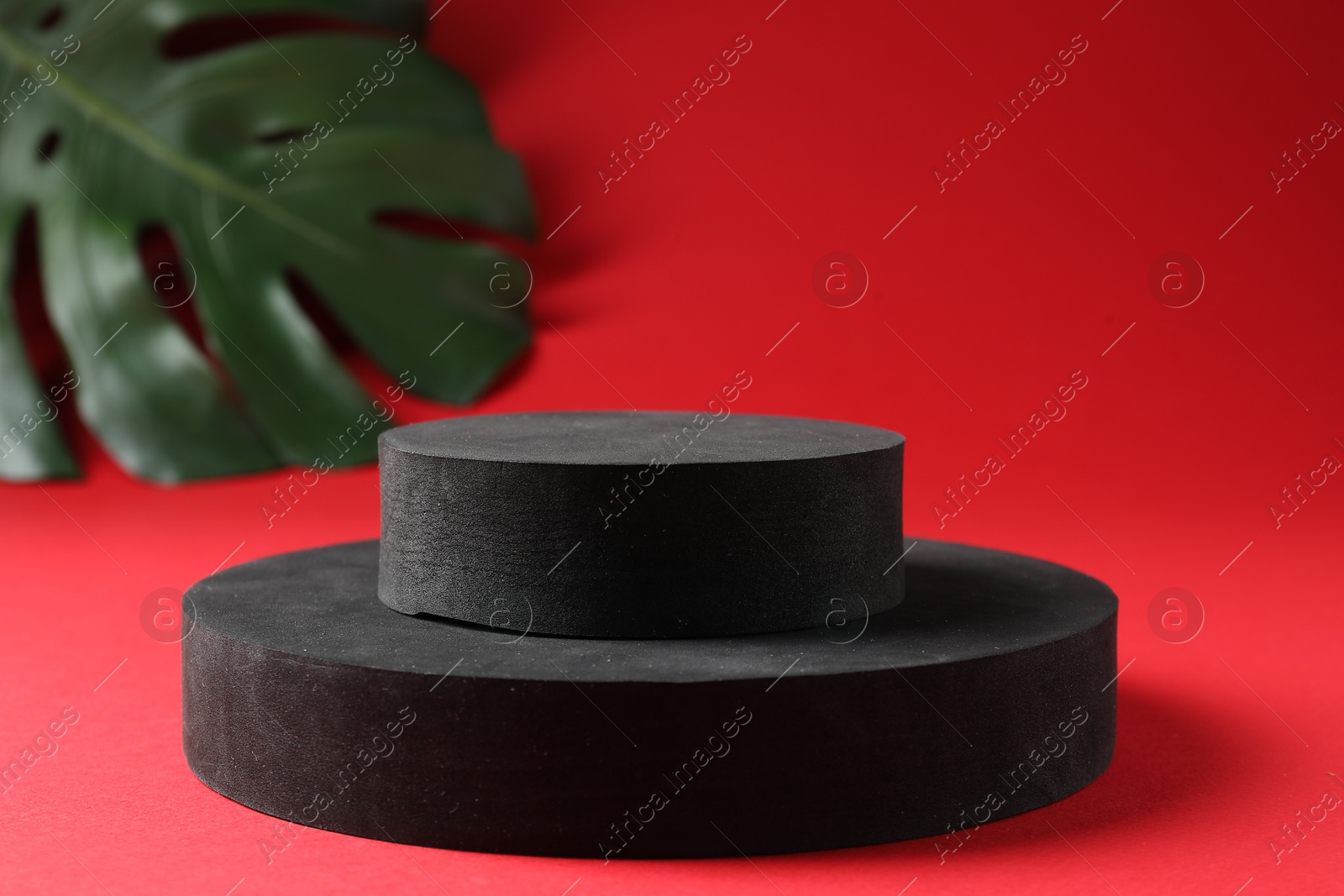 Photo of Promotion. Podiums for product presentation and monstera leaf on red background