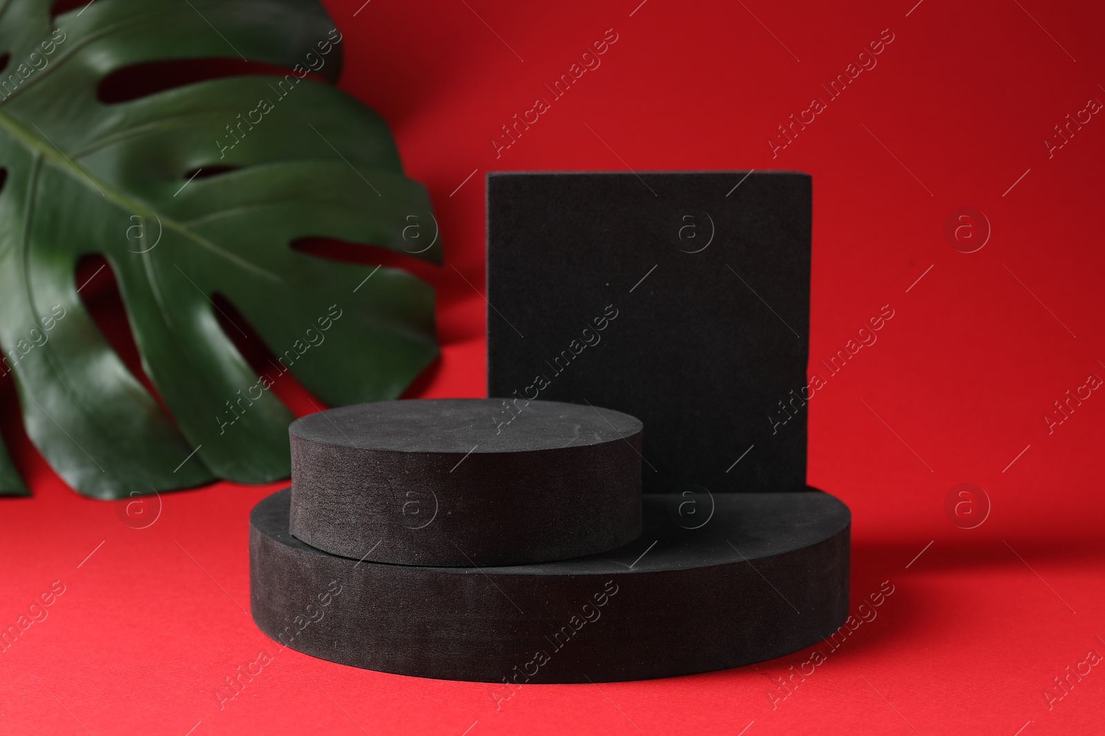 Photo of Promotion. Different podiums for product presentation and monstera leaf on red background