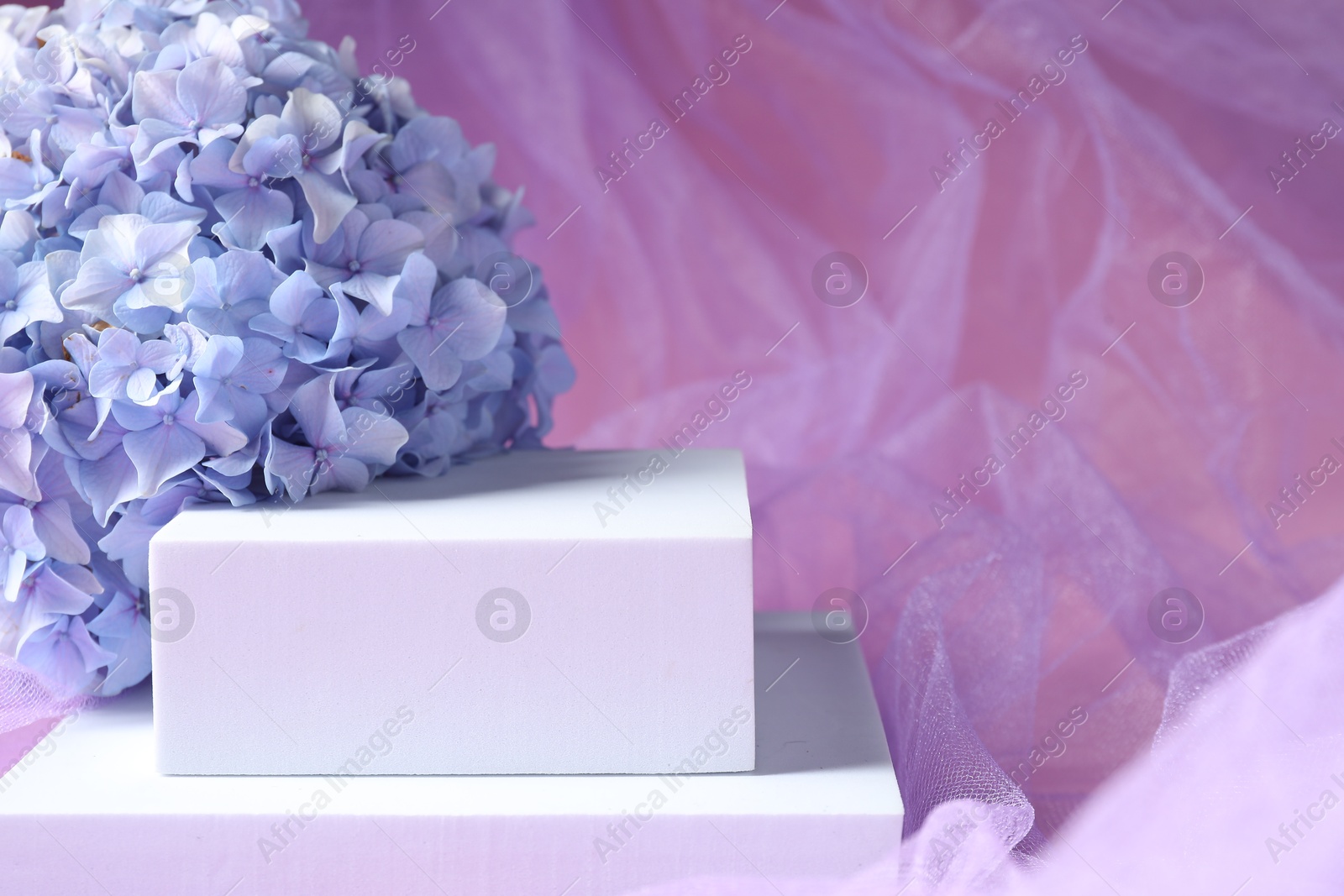 Photo of Promotion. Podiums for product presentation and hydrangea flowers on violet fabric